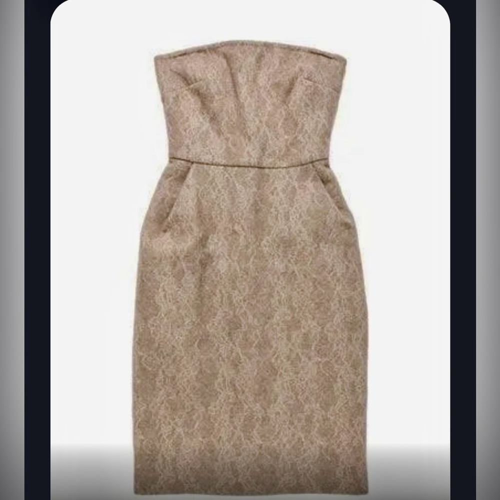 NWT Max Mara strapless lace dress